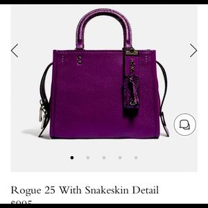 ISO coach rogue 25 BlackBerry